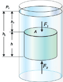 Archimedes Principal