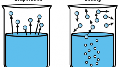 Evaporation and boiling