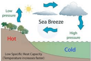 Sea Breez and Land Breez